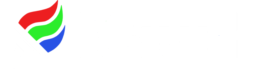 Kaur Hendrikson DCTLs logo
